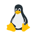 Ignoring Linux