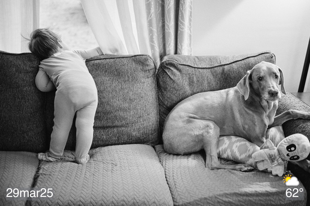 Grandson and Sage on the couch